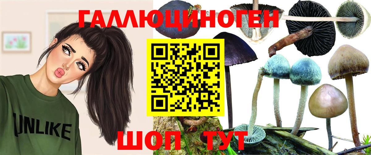 Краснокаменск  Псилоцибиновые грибы Cubensis  Псилоцибиновые грибы мухоморы  Вход с VPN 
