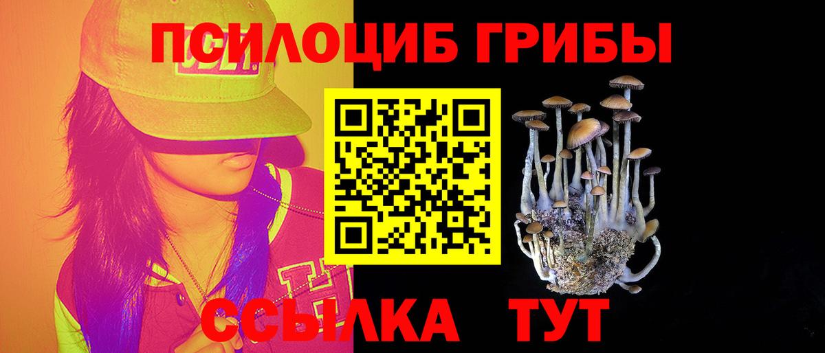 Псилоцибиновые грибы прущие грибы Краснокаменск